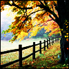 Autumn1