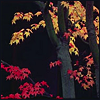Autumn7