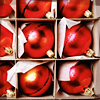 Holiday5