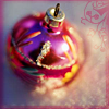 Holiday6