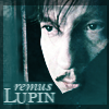 Lupintrain