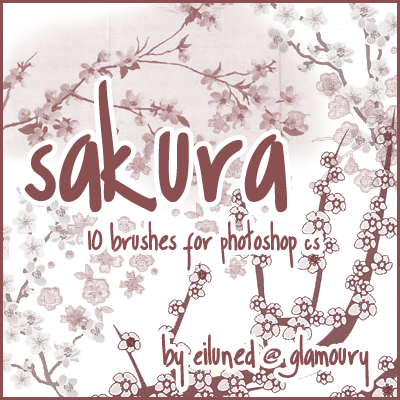 Sakura